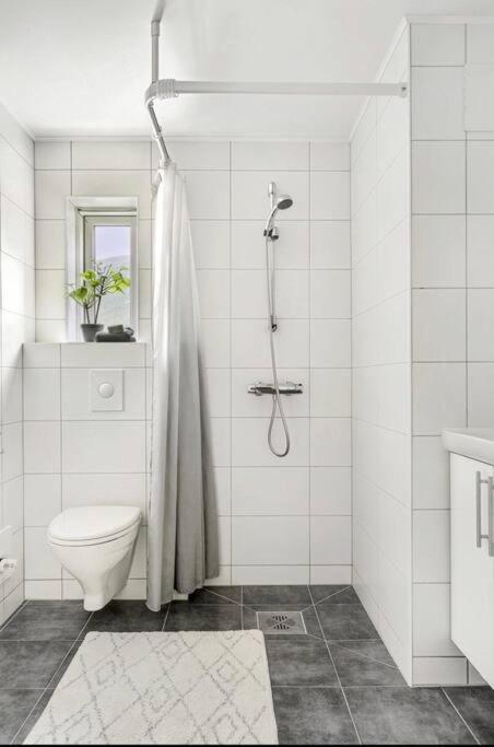 Northern Dreams Apartment With Free Parking Tromso Exterior photo